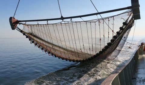 Visserijnet met oranje vlotters aan boord van een kotter op de Noordzee